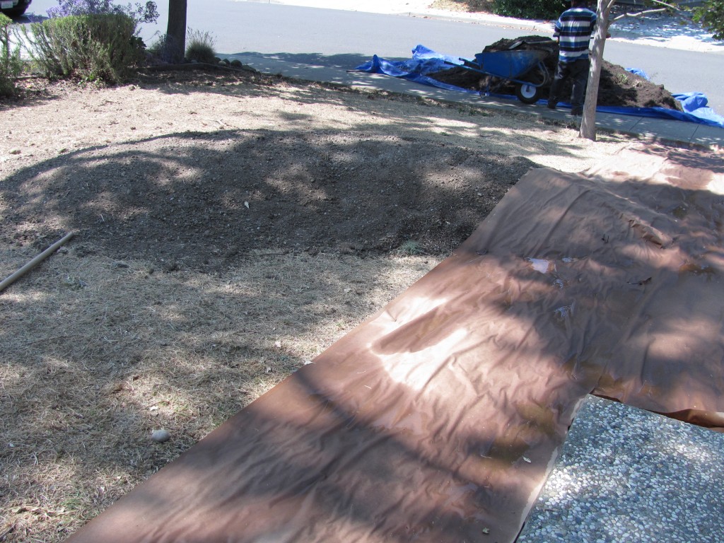 Covering a yard in paper. Around the edges is a trench to catch the mulch, and in the center is a mound.